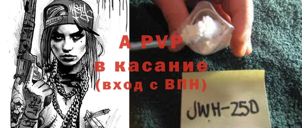 индика Баксан