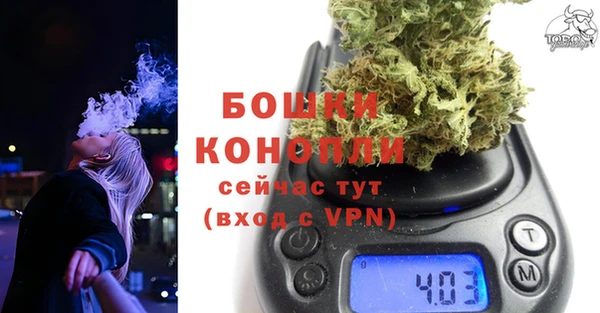 эйфоретик Осинники
