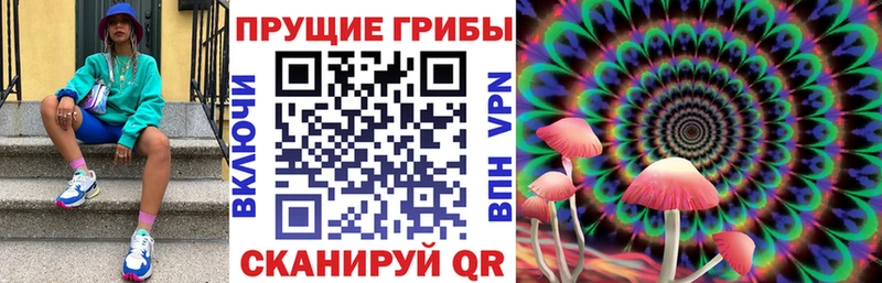 Галлюциногенные грибы Psilocybe Купить где Воткинск